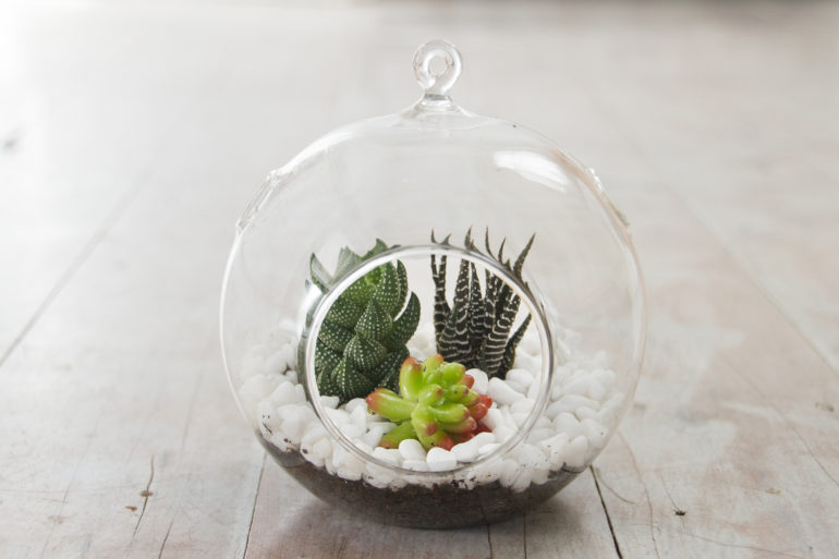 Makers Night: Terrariums and craft beer